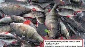 Активатор клева рыбы FishHungry