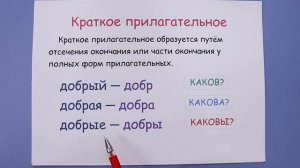 Как образовать краткое прилагательное? Краткая форма прилагательных