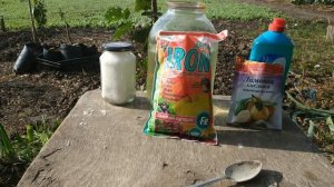 Железный  купорос от болезней и вредителей: лайфхак .#АртемСад