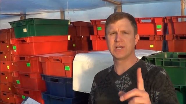 БТЧ4 Перец 7 дней после посадки на Биогумусе Ткаченко и Вермикомпосте Николая и Ирины смотреть онлайн