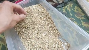 мучник и фобос.разведение.