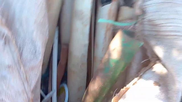 como separar plásticos PP PAD PET PvC cristal. смотреть онлайн