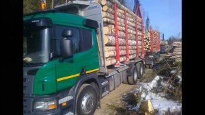 Анатолий Полотно - лесовоз(Scania)