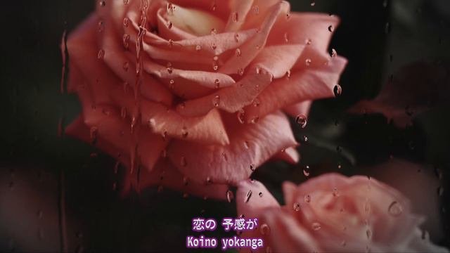 恋の予感　井上  陽水　Koi No Yokan Yosui Inoue