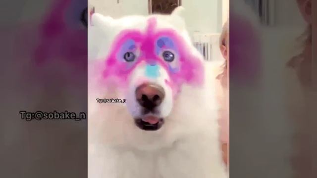 Красота страшная сила.