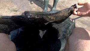 Ловля карпа весной на флэт метод - Часть 2