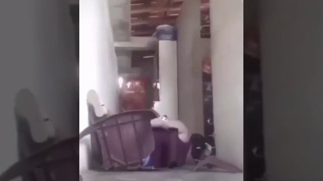 Чья малыха?