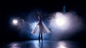 Andres Danchin - A Ballerine and the Dusk