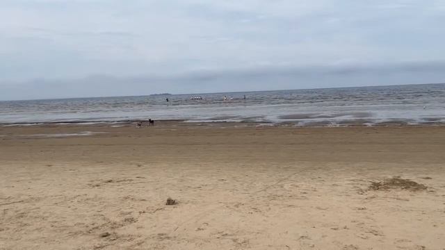 Финский залив / купаемся/ отдых Санкт-Петербург смотреть онлайн