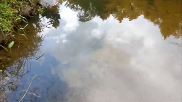 Царские Берега лето 2015. Посёлок компании Зеленый Квадрат смотреть онлайн