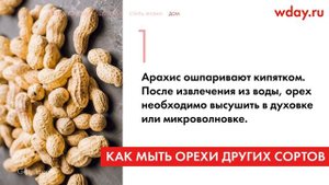 Нужно ли мыть орехи перед употреблением?