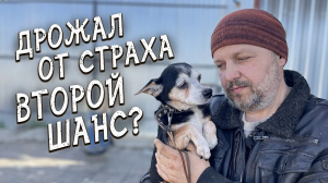 Спасение животных _ Второй шанс на пристрой для отказника из приюта