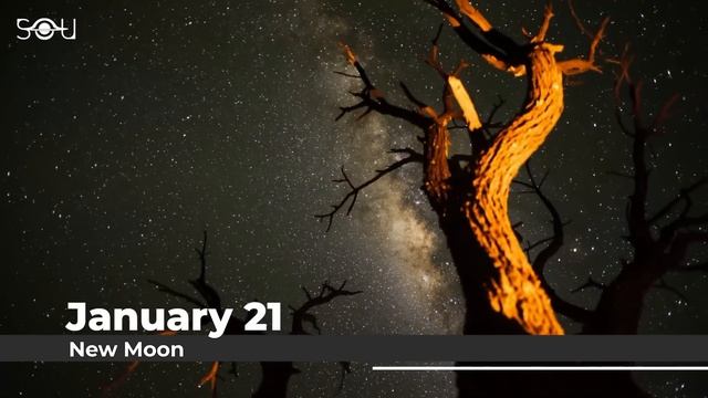 Don't Miss These Astronomy Events In January 2023 | Planet Parade | Meteor Shower | Saturn-Venus смотреть онлайн