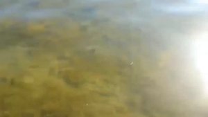 Скадовск.Пляж.16 июля 2023