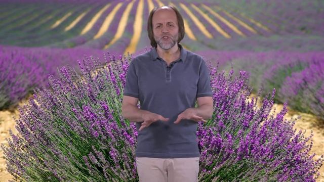 Медитация №7. С фиолетовыми сферическими вакуумными оболочками (очищение рук и ног)