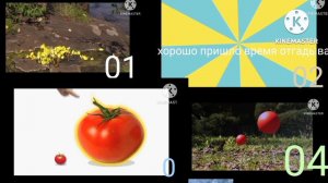 что это мойа 4 videos ebs Moya Moya모야모야