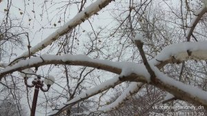 29 Декабря 2018 Донецк