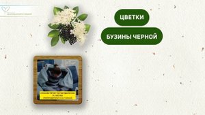 Сибирский сбор для суставов за копейки