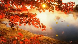 Музыка на выход осени