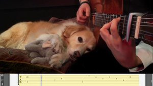 Green Day - Boulevard of Broken Dreams Trench | Tabs