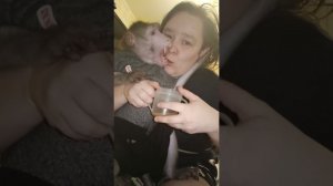 Переодевашки  или как мы одеваем памперс