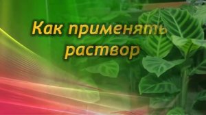 Сладкая подкормка – в холодное время важная процедура для комнатных растений.
