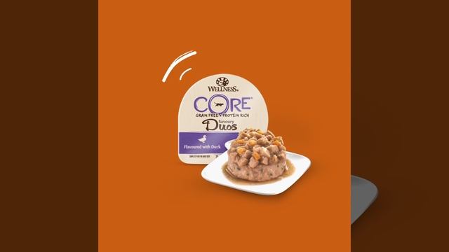 Wellness CORE CAT EYES 15s - DUTCH version смотреть онлайн