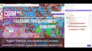 Формирование таксационных описаний в СОЛИweb