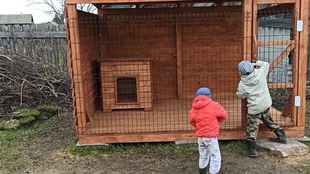Деревенский Влог? Уха и блины на улице? помидорам хана?