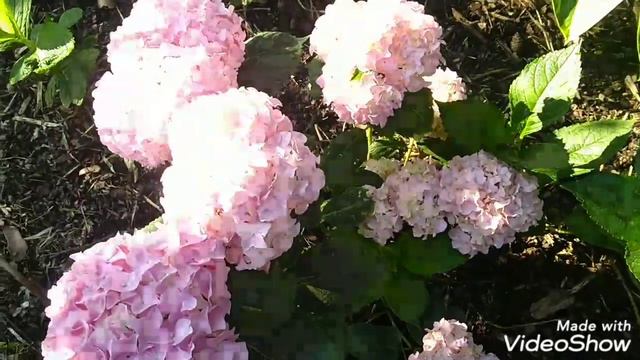 8 июля 2020 г. смотреть онлайн