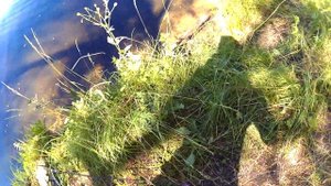 Воблер ОТВЯЗАЛСЯ И УЛЕТЕЛ-КАК ДОСТАТЬ....