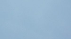 Сорока-белобока  
2023.05.07_0702
