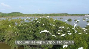 Чтение Библии на русском