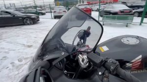 Обзор мотоцикла Honda CBR1100xx Blackbird без пробега по РФ