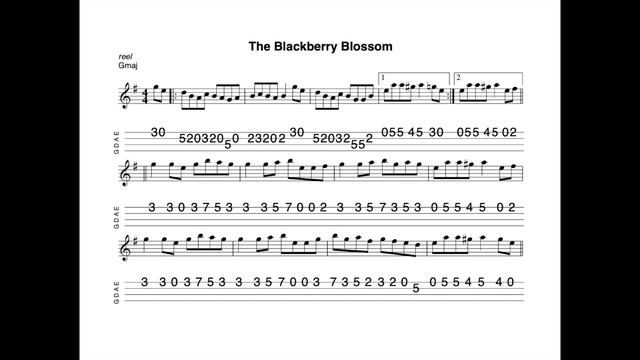 The Blackberry Blossom - a reel in G Major tabbed for mandolin and played by Aidan Crossey смотреть онлайн