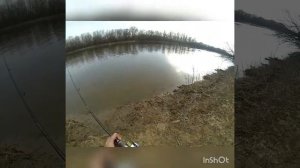 Ловля судака в зимнее время на мАндулу