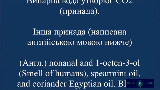 клопи - Как бороться с клопами в квартире?