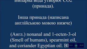 клопи - Как бороться с клопами в квартире?