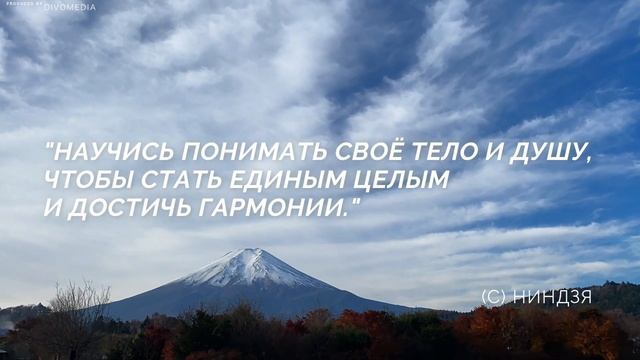 Мудрые Цитаты Ниндзя, которые Помогут Сохранить Спокойствие в Любой Ситуации