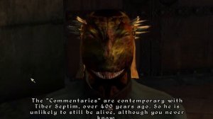 Let's Play The Elder Scrolls IV: Oblivion 10 - Commentaries