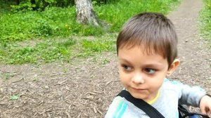 СЛОН ДОМА!  Теперь слон ЖИВЕТ В КВАРТИРЕ!