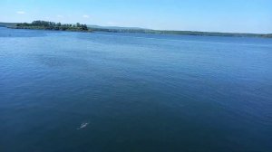 Пробная рыбалка с пирса - Совгавань. результат - пол ванны?