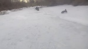 маляевка, р. Ахтуба))))