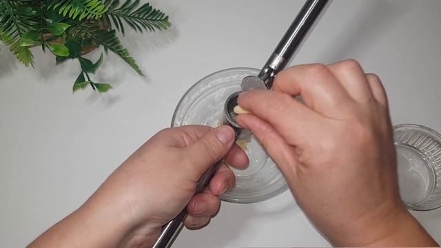 Свиная грудинка в луковой шелухе Poitrine de porc en pelure d'oignon смотреть онлайн