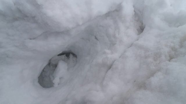 Тарханские дачи Восточный Казахстан Кто бы мог подумать что пробраться невозможно смотреть онлайн