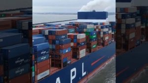 Морские Контейнерные Перевозки. экспедирование. логистика. контейнеры. перевалка. грузы.