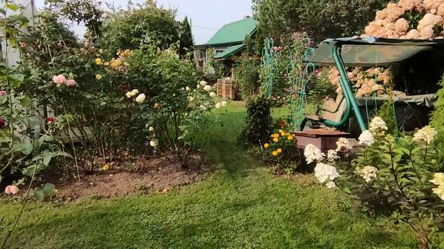 Посадки, пересадки, переделки в саду.2023 г. смотреть онлайн