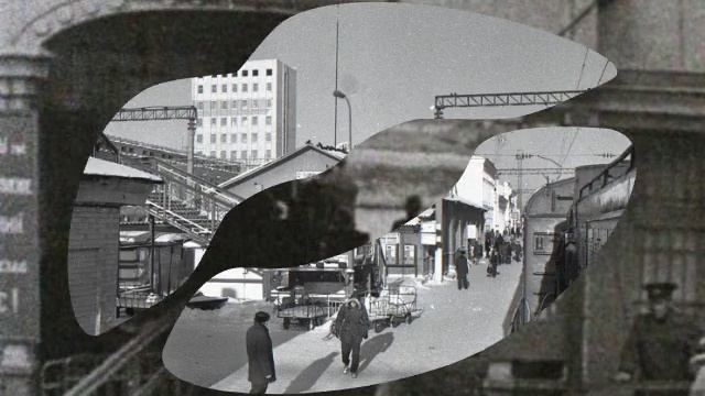 Лиски