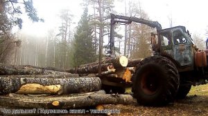 МТЗ-52 лесовоз Выгрузим! MTZ-52 unload trailer