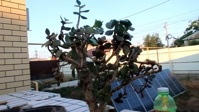 vlog ☀️ любимые бутерброды / купили себе песок / чего стесняется Никита / моем голову без слез смотреть онлайн